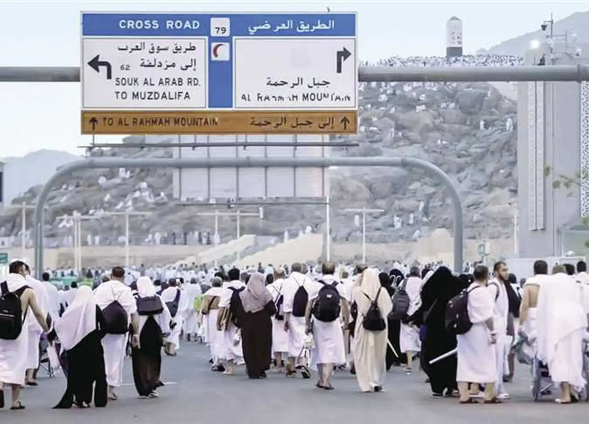 الحج 1446