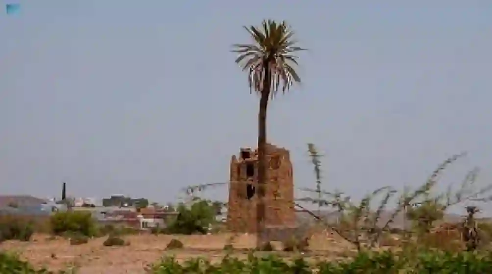 بدر الجنوب تفتح أبوابها