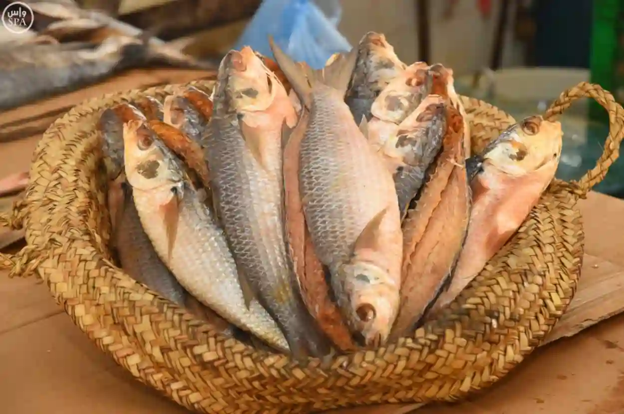وزارة البيئة والمياه والزراعة