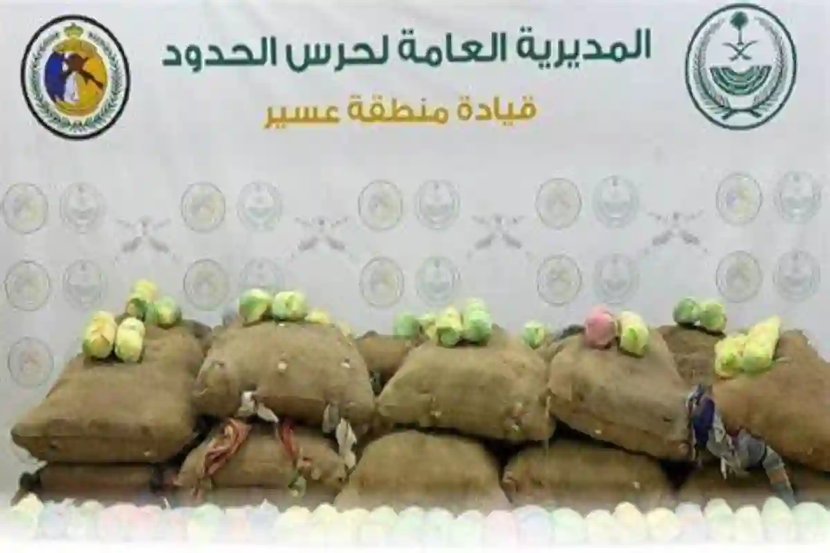 32 مهرب في قبضة 