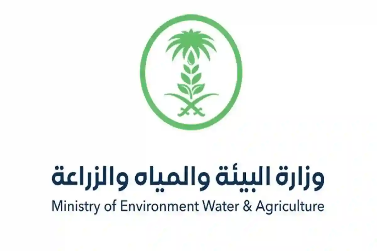 فرصة استثنائية في المدينة المنورة من 