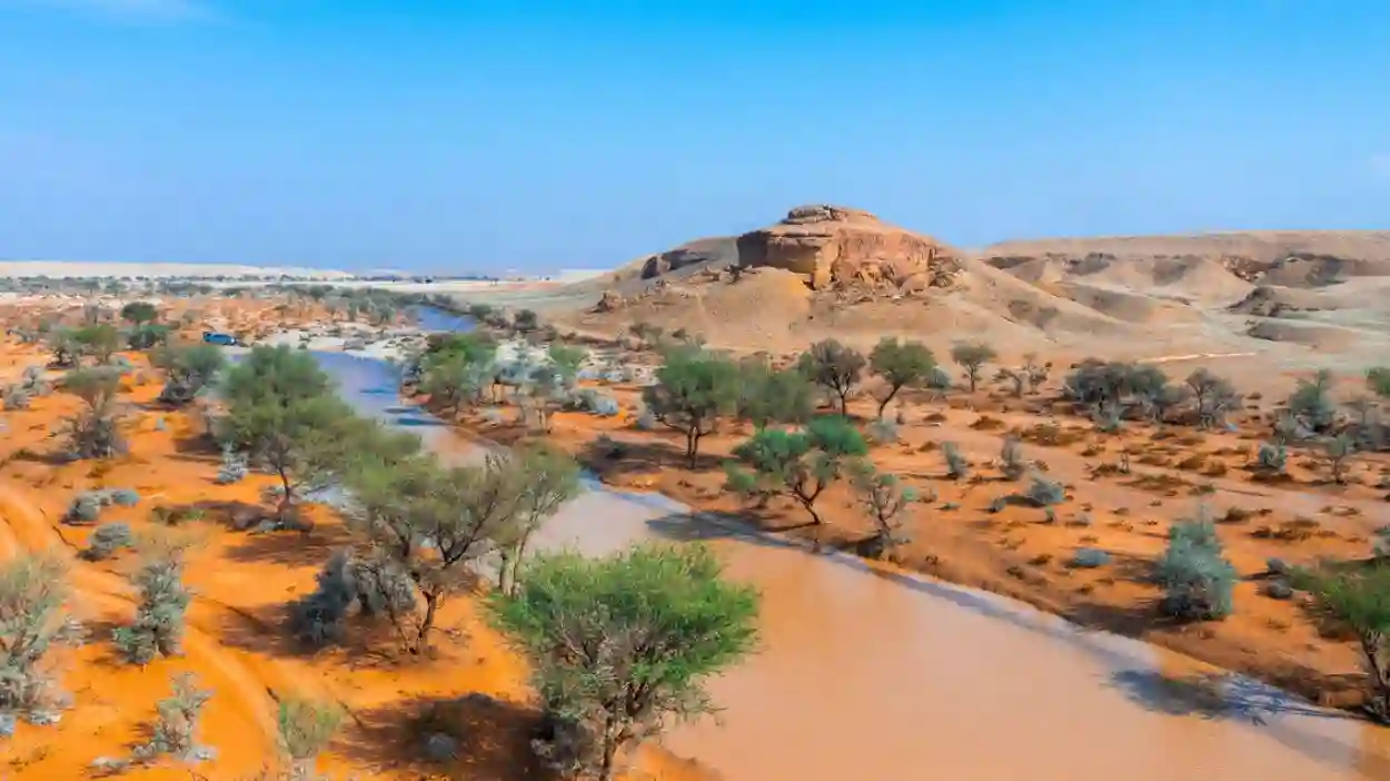 الأمن البيئي