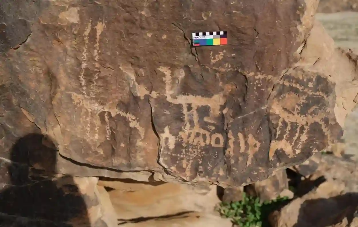 محمية الملك عبدالعزيز 