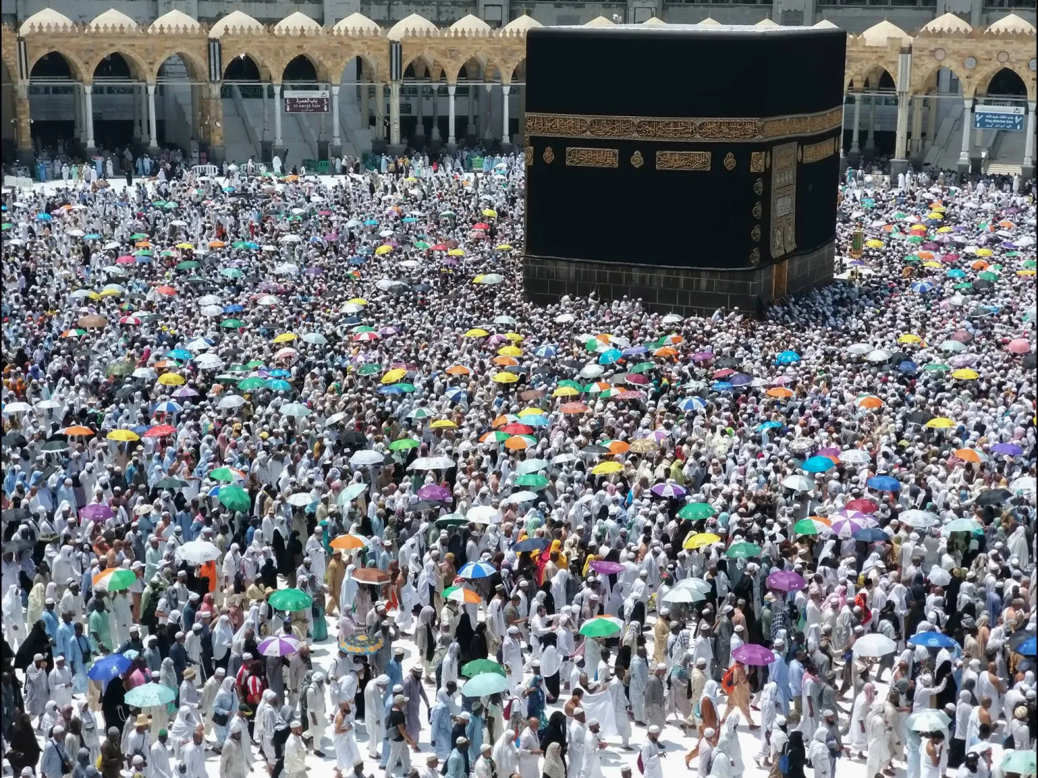 حج 1446