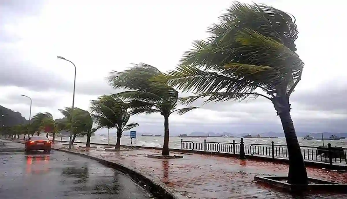 أمطار