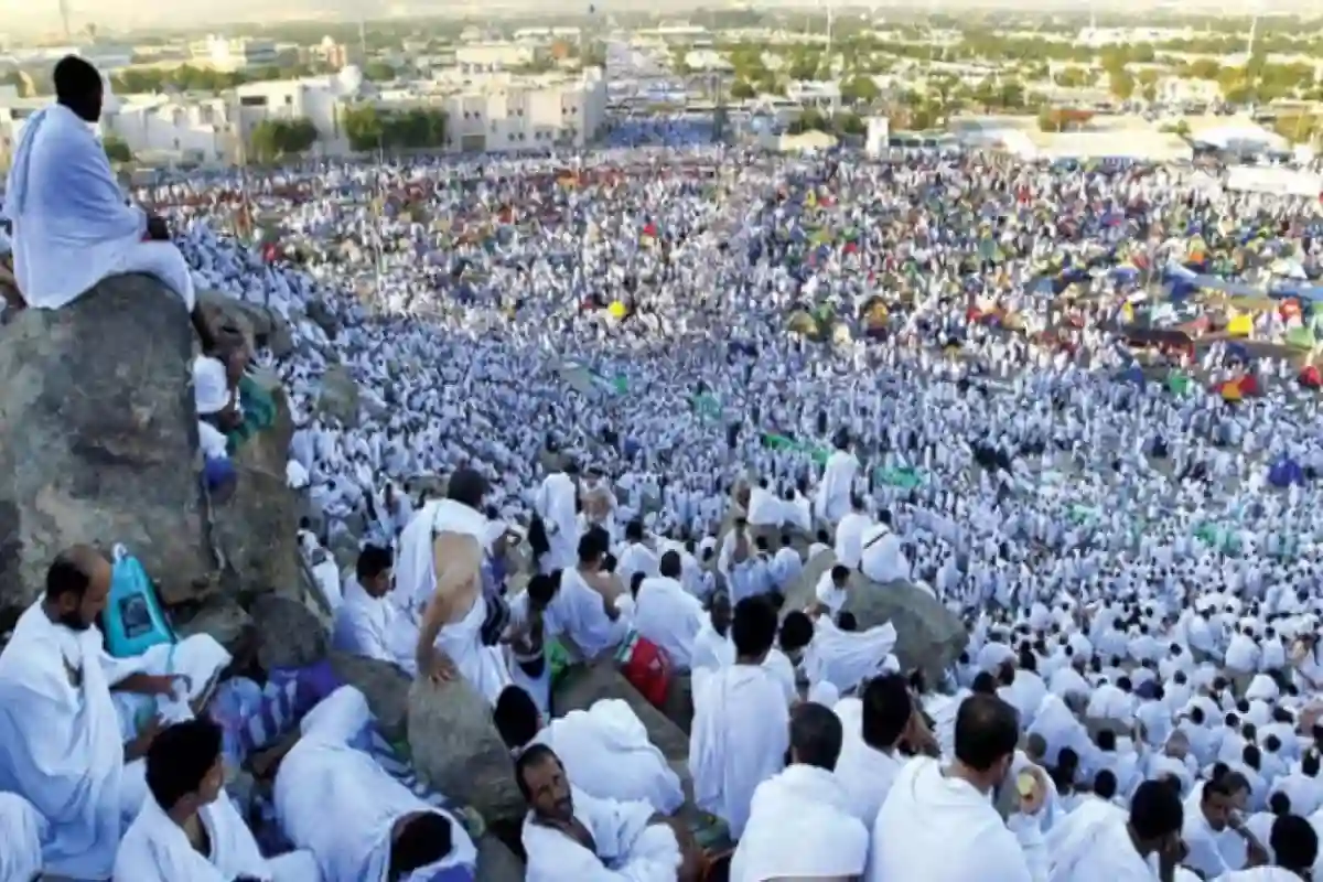 في موسم الحج 1446.. الإعلان عن جاهزية الخطط التشغيلية للحافلات الناقلة لحجاج الخارج 